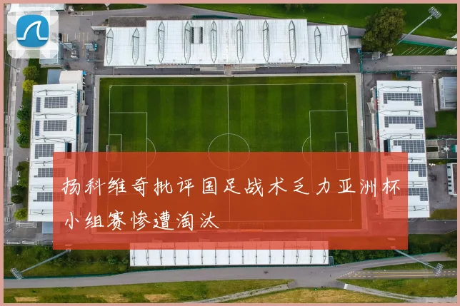 扬科维奇批评国足战术乏力亚洲杯小组赛惨遭淘汰
