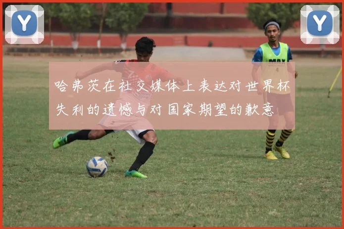 哈弗茨在社交媒体上表达对世界杯失利的遗憾与对国家期望的歉意
