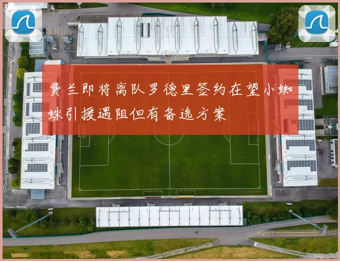 费兰即将离队罗德里签约在望小蜘蛛引援遇阻但有备选方案